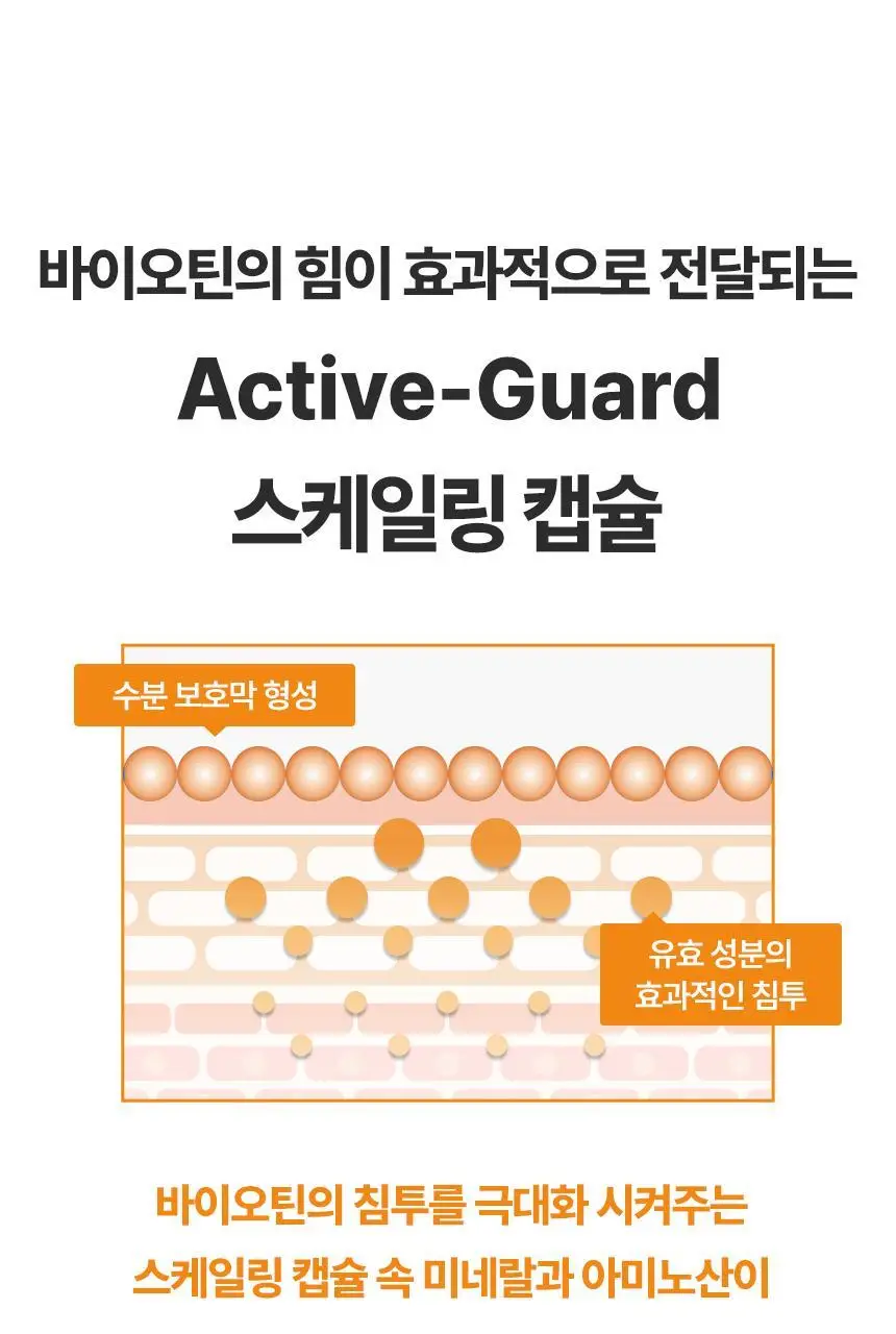 [대용량/스케일링]닥터방기원 샴푸 바이오틴 탈모케어 [모근 강화] 상세페이지 12